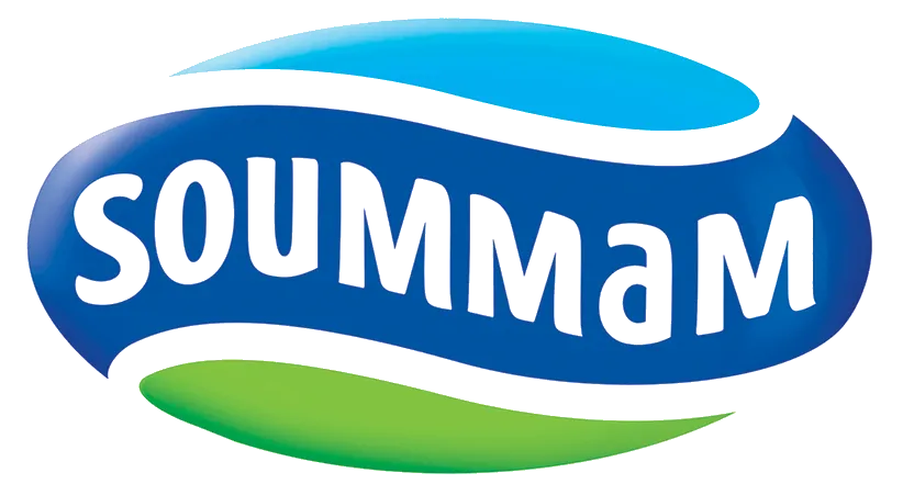 Logo soummam